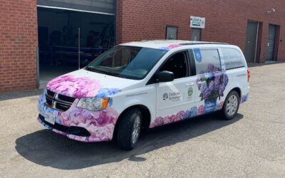 EVERYTHING You Need to Know About a 3M Vinyl Wrap